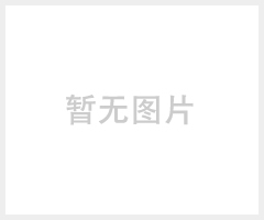 供应杭州华亨不锈钢精密过滤器CFH